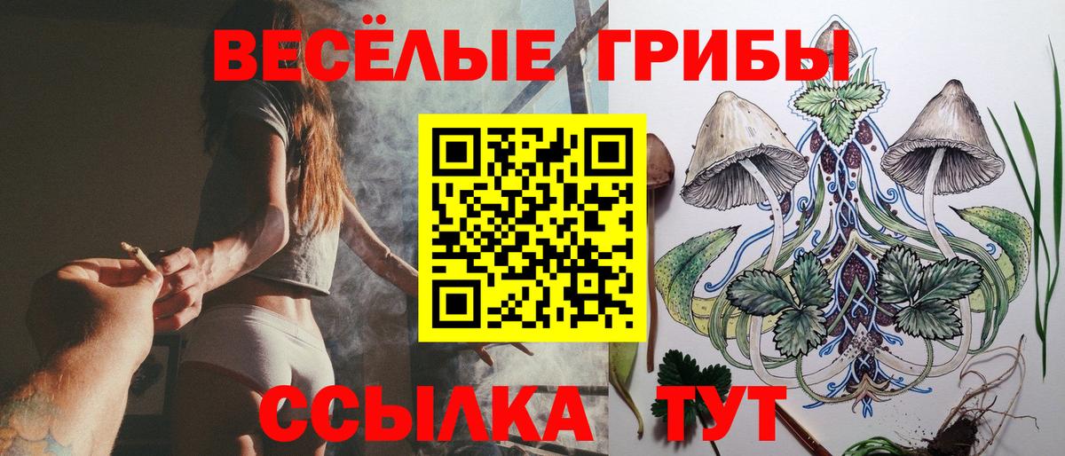 Псилоцибиновые грибы Cubensis  Вход с VPN  Галлюциногенные грибы мухоморы  Хасавюрт 
